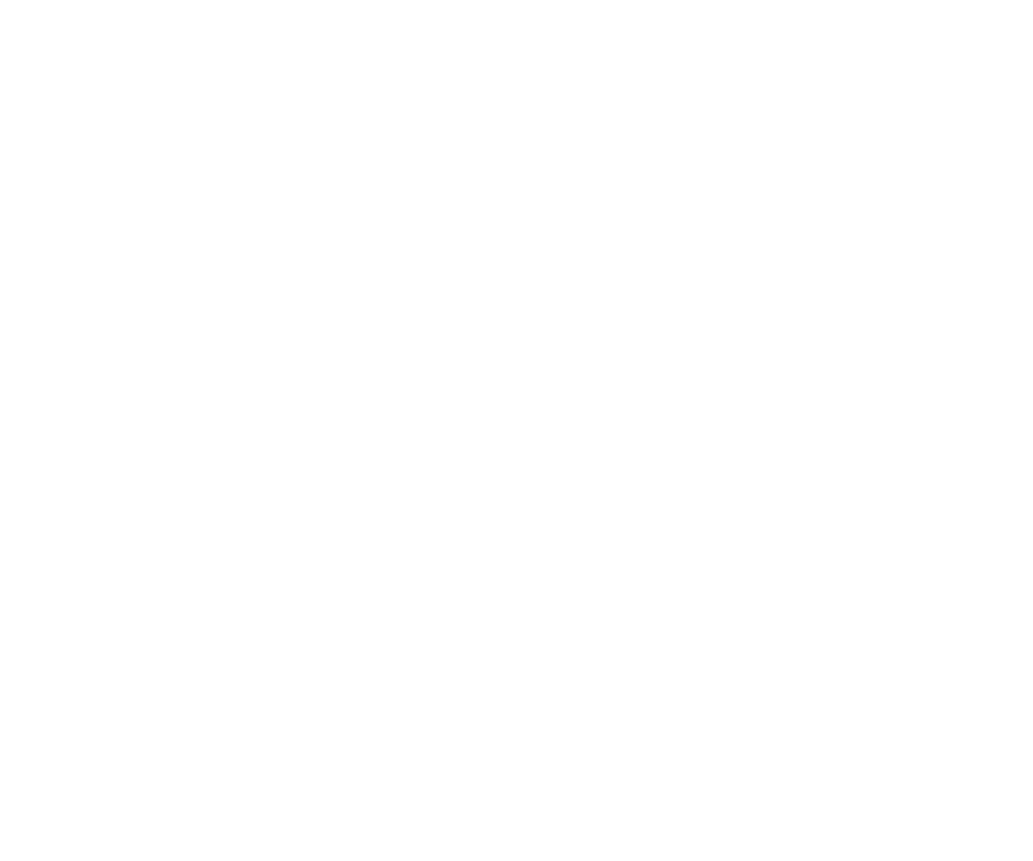 Advanced Packaging Company